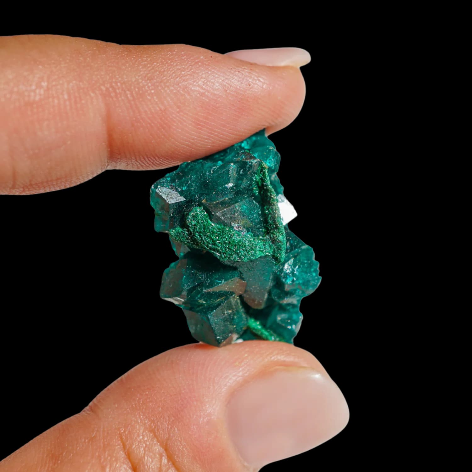 Dioptase Crystal