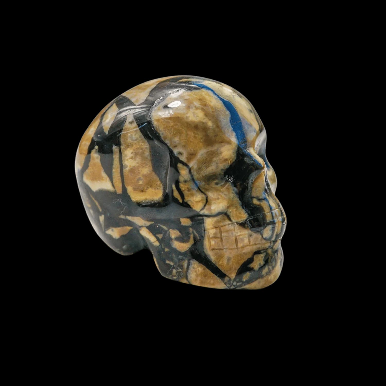 Volcanic Agate Skull